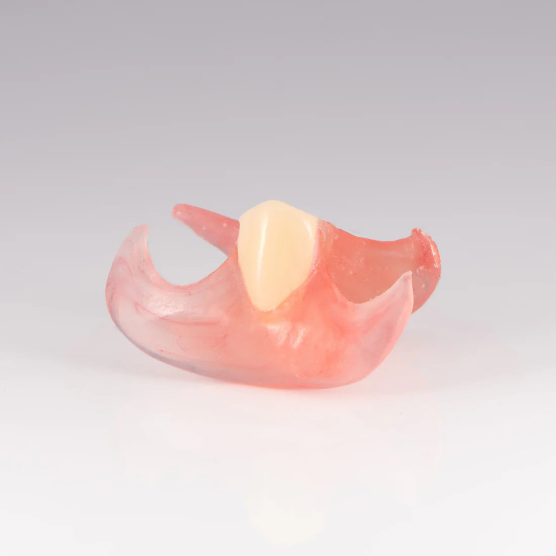 At -Home Custom Missing Tooth Replacement Kit
